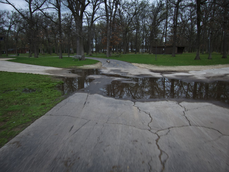 A paved and painted section of the Rock River Recreation Path heads through Shorewood Park.