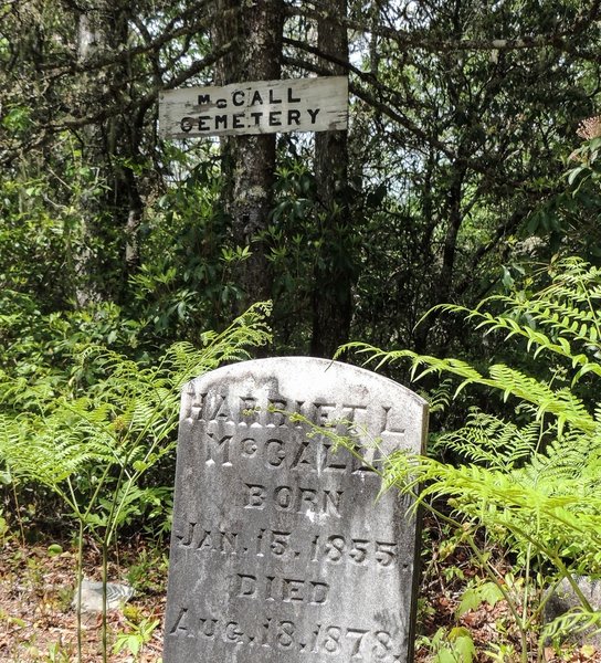 The McCall Cemetery lies in the center of the Cemetery Loop Trail. The McCalls were some of the original settlers of the area.