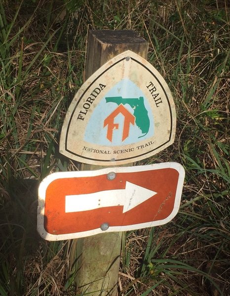 The 1,300-mile Florida Trail (FNST) crosses the Myrtle Point Trail.