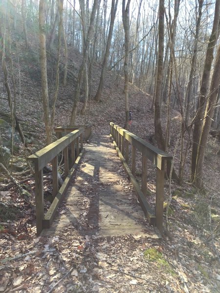 The Bee Cove Trail crosses the creek over this robust bridge.