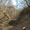 The ravine near the beginning of Brady's Bluff Trail still holds ice from a small seep during the spring. The bluff can be seen in the background.