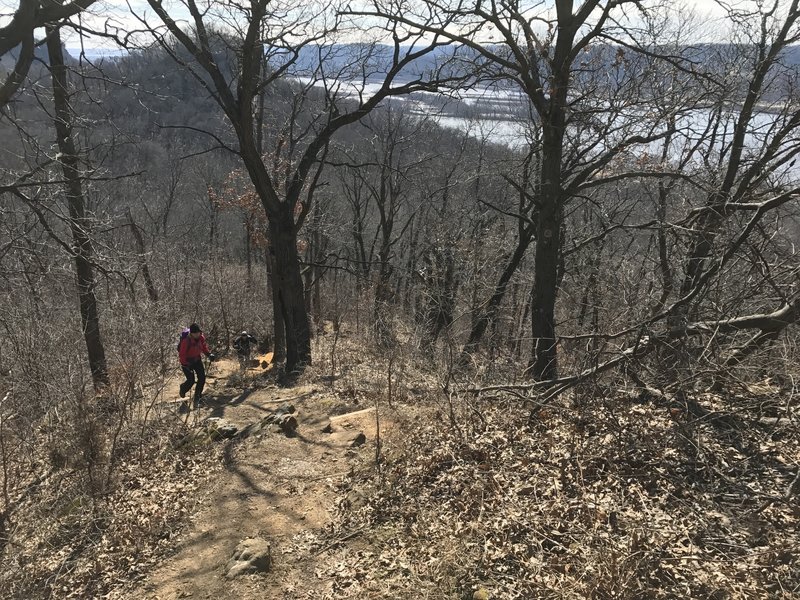 The trail is steep hiking up to the summit of Perrot Ridge.