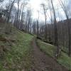 The Low Gap Trail is smooth, yet steep through this section.