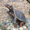 A Blanding's turtle sculpture awaits your viewing at the Lake Maria State Park Trail Center.