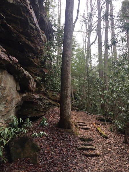 The West Entrance Trail is easy and family friendly.