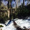 The day after light snowfall, the bridges on the Ramsey Cascades Trail can be icy.