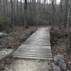 A sturdy bridge aids your first passage over Chesley Creek.