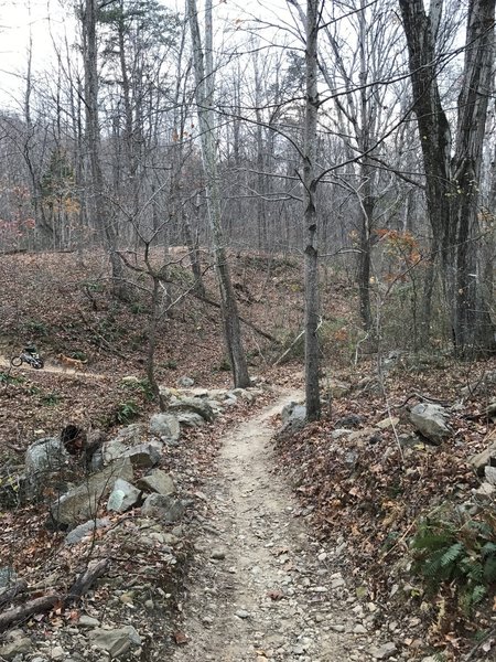 The Twin Lakes trail heads through rock into a drainage.