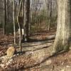 The exit or second entrance to Bear Hole (off the Chesley Creek trail) is relatively easy to navigate.