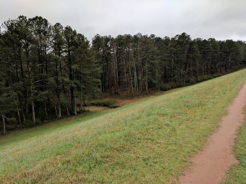 Green grass covers the back side of the dam.