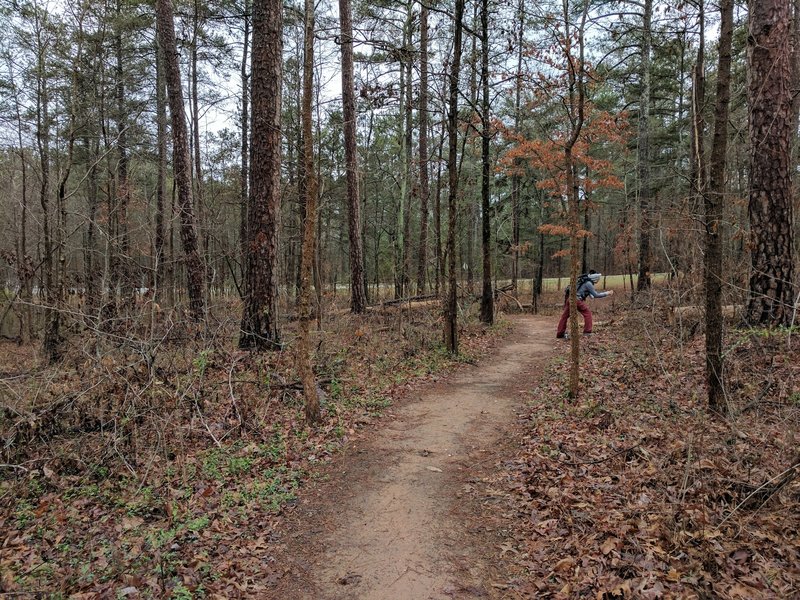 The trail's buffed surface allows you to not worry about your feet and instead enjoy your natural surroundings.