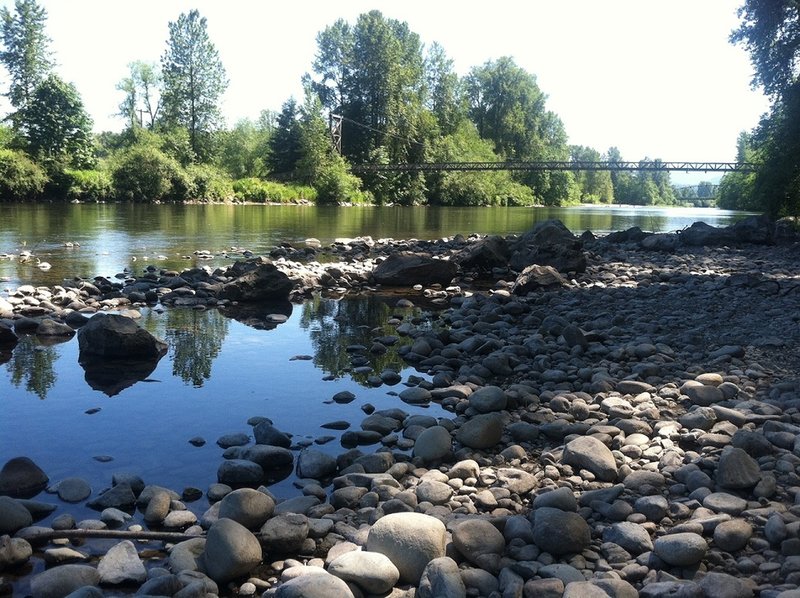 Looking back at the Tolt MacDonald Bridge from the edge of the Snoqualmie River.