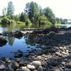 Looking back at the Tolt MacDonald Bridge from the edge of the Snoqualmie River.