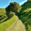 High on Bernal Hill Trail in the grass-covered Santa Teresa Hills, enjoy a verdant landscape as you travel along a smooth trail.