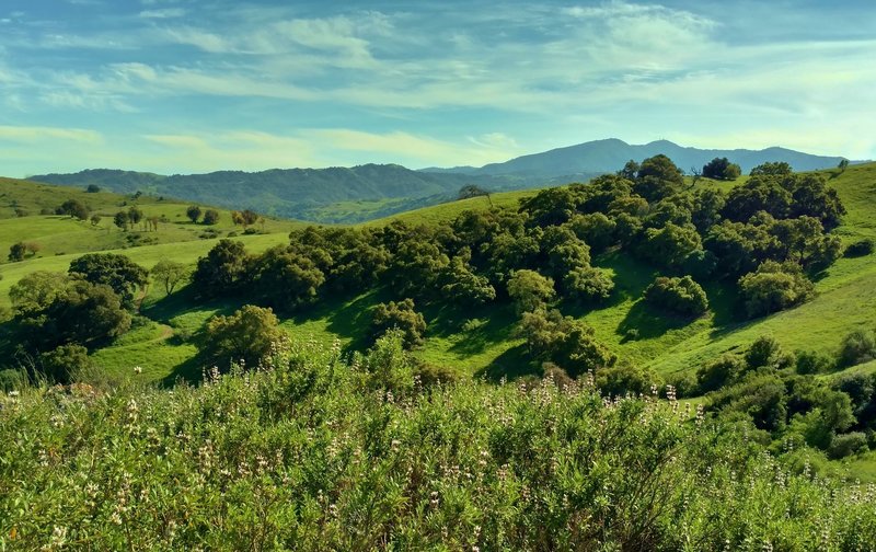 Along the Bernal Hill Trail, the Santa Teresa Hills grow verdant in the springtime with the Santa Cruz Mountains in the distance.