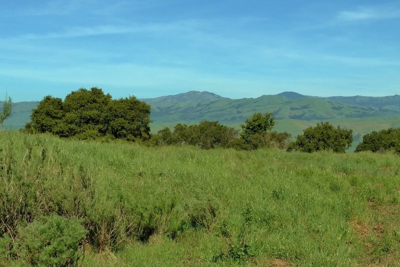 Mt. Hamilton stands in the distance along the Vista Loop.