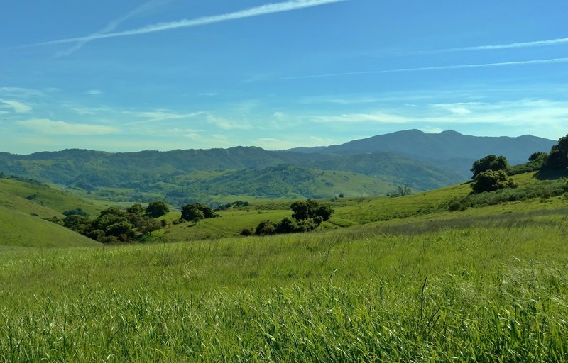 The Santa Cruz Mountains provide the background to your time traversing the rolling green hills of Santa Teresa County Park along the Vista Loop.