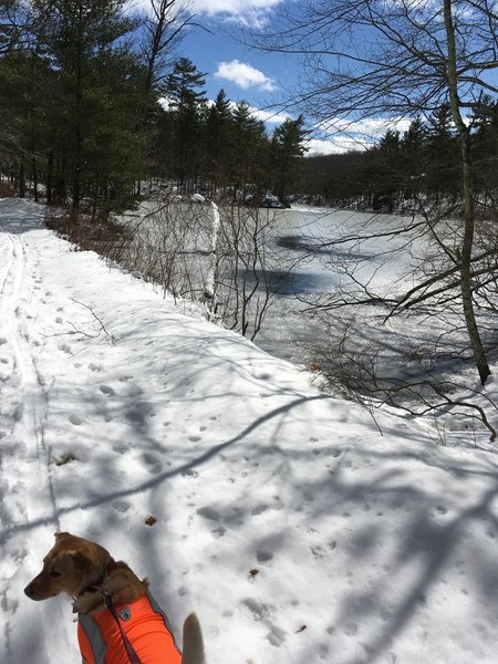 A frozen Salem Pond provides a pleasant sight from Upper Salem Pond Road.