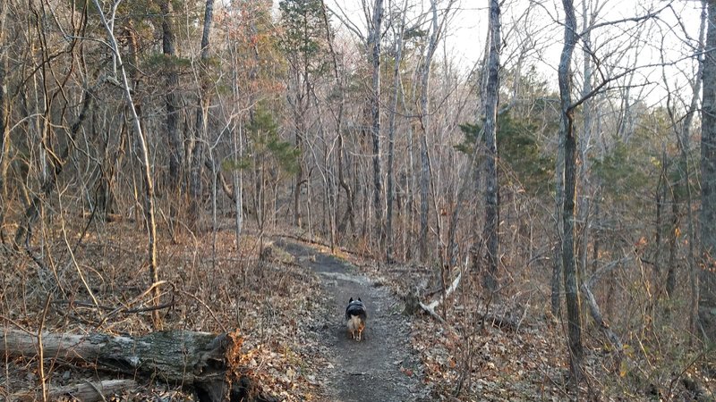 The trail is smooth and clear near the parking lot.