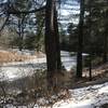 A pristine pond offers a quiet place to sit and enjoy your surroundings.