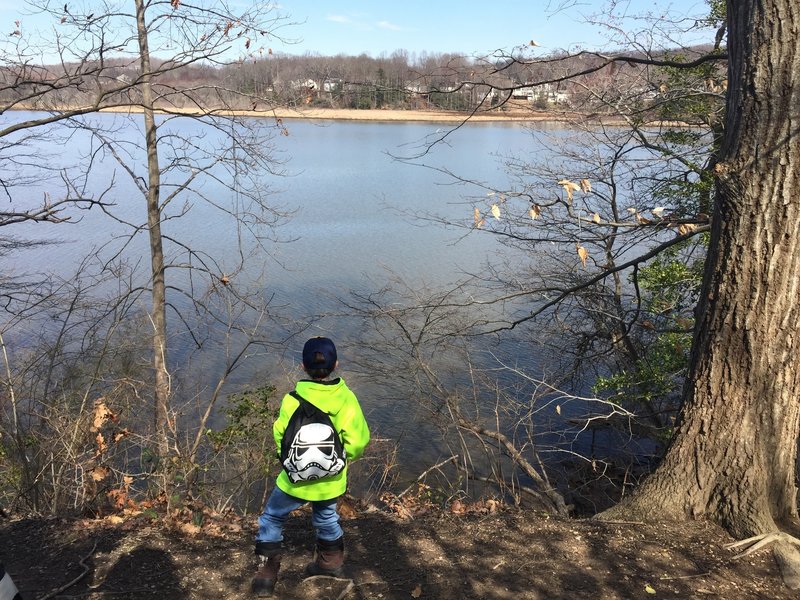 Aquia Creek acts as a pleasant trailside companion in Government Island Park.