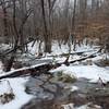 Winter weather leaves a blanket of snow on the trail in March.