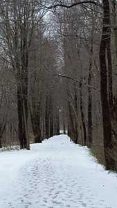 March is a wonderful time to experience the winter wonderland that is the Paint Branch Trail.