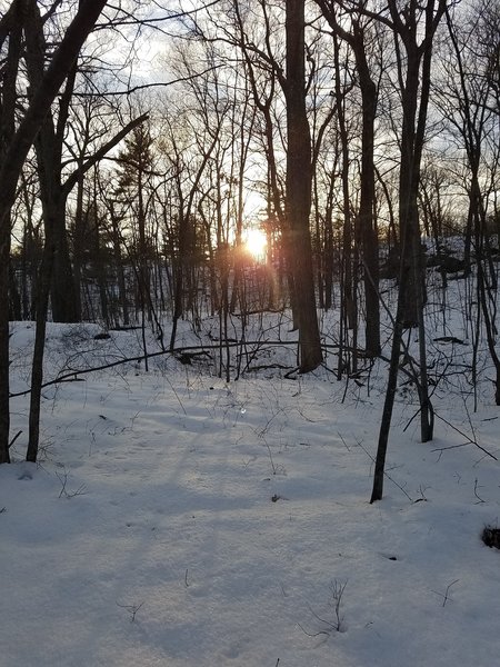 The sun sets over a late-winter landscape along the Skyline Trail.