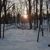 The sun sets over a late-winter landscape along the Skyline Trail.