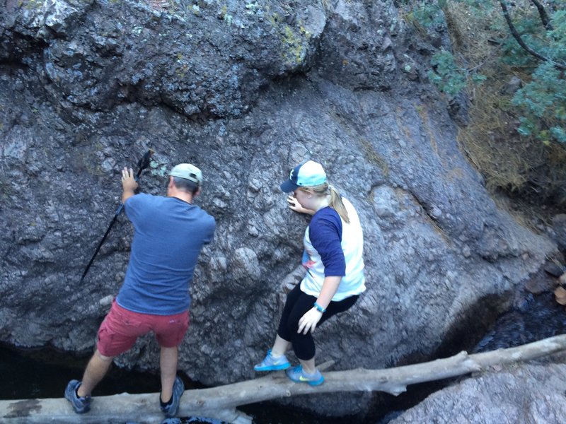 A family navigates the streambed on a fallen log in Grasshopper Canyon.