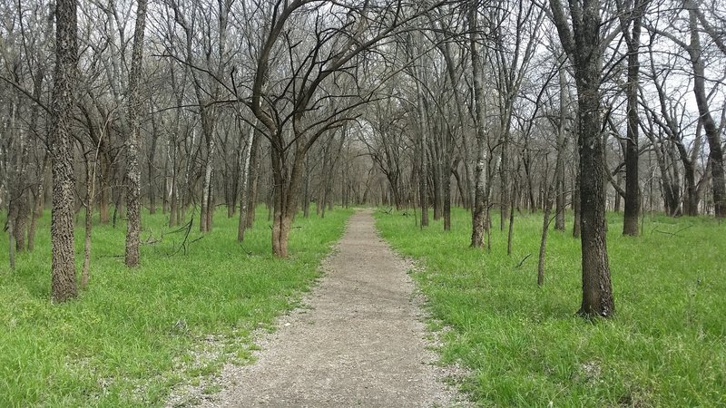 This scene is typical for the trails in the natural heritage center.