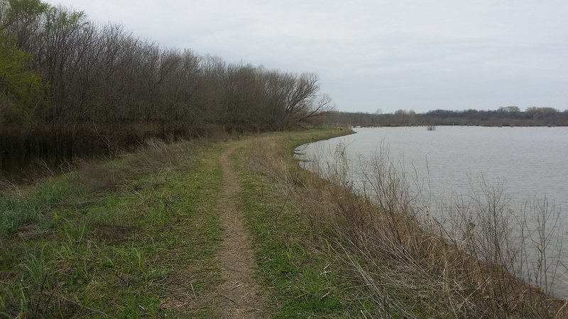 The trail travels along a levee in the lower wetlands area.