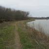 The trail travels along a levee in the lower wetlands area.