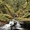 You'll have to navigate a few creek crossings along the Clackamas River Trail.