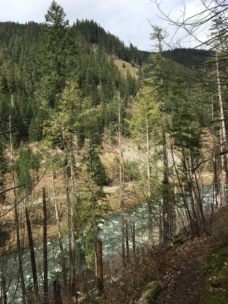 Looking down on the Clackamas from the trail, enjoy white water and verdant forests.