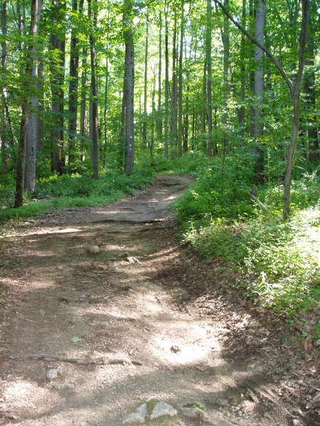 This is typical for the Yellow Trail as it heads toward the Orange Trail.