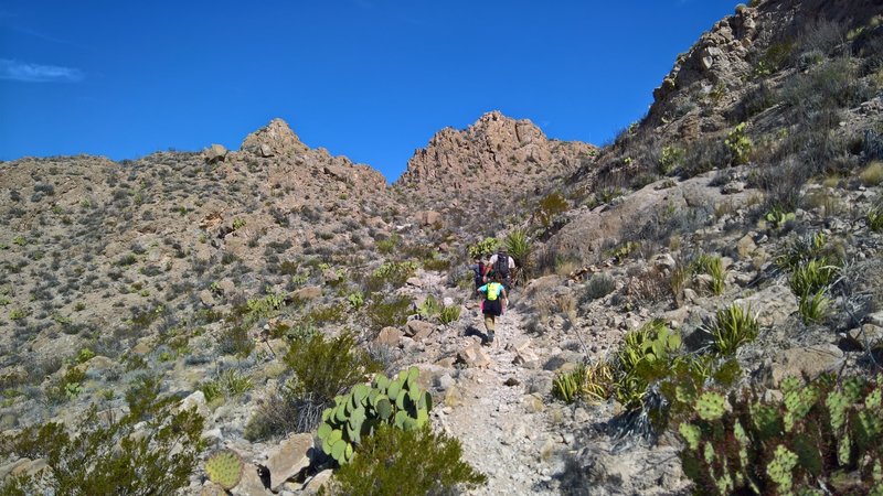 The western ascent up the Marufo Vega Trail is steep and littered with rocky footing.