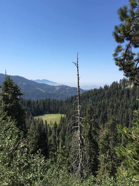 Cahoon Meadow looks mighty fine from high on the Twin Lakes Trail.