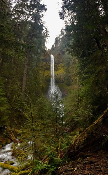 Pup Creek Falls cascades over moss-covered cliffs near the end of its namesake trail.