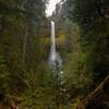 Pup Creek Falls cascades over moss-covered cliffs near the end of its namesake trail.