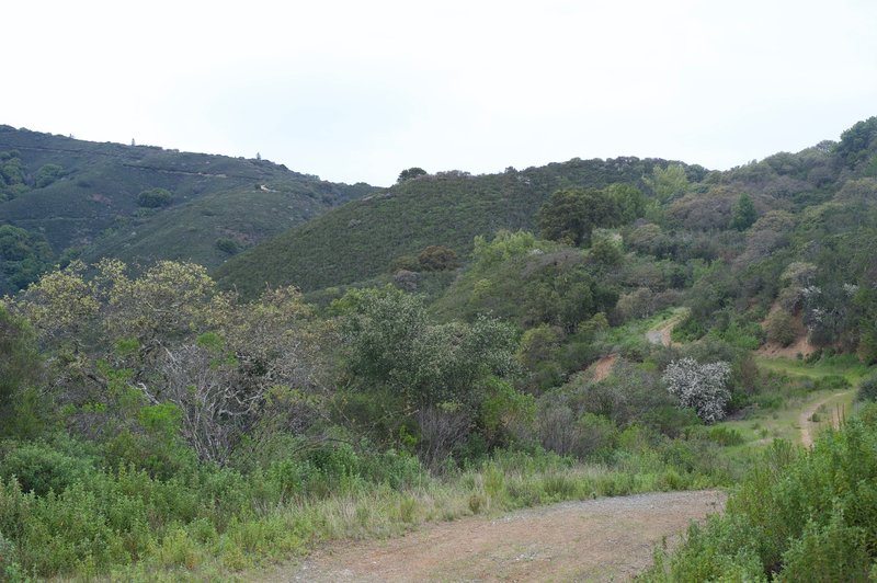 Turning around, you get a view of the trail as it makes its way back into the preserve. You can see the Aquinas Trail on the ridge in the distance.