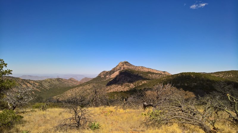 Emory Peak stands guard over the Chisos Basin in the background.