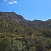 Emory Peak stands left-of-center from the Laguna Meadow Trail.