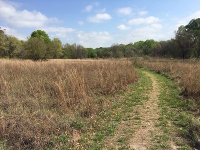 The trail travels through the prairie in this section.