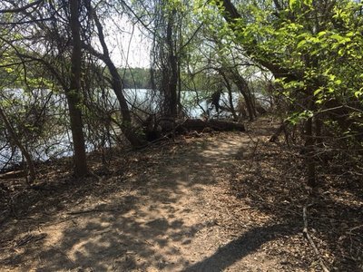 Take this trail to head out onto the levee.