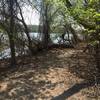 Take this trail to head out onto the levee.