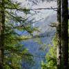 You can just make out the snow-capped peaks through windows in the trees.