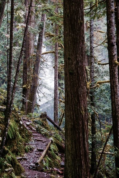 It's so close you can almost reach it. Head just around the corner to see Murhut Falls.