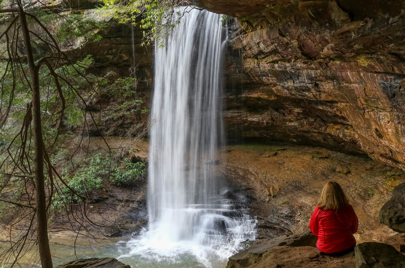 Northrup Falls, Colditz Cove State Natural Area