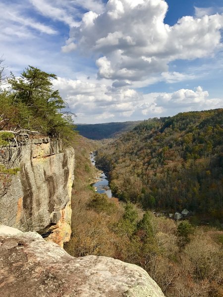 Angel Falls Overlook offers a stunning look at the Big South Fork Cumberland River.